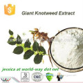 bulk trans resveratrol powder 98% of natural anti oxidant and anti aging